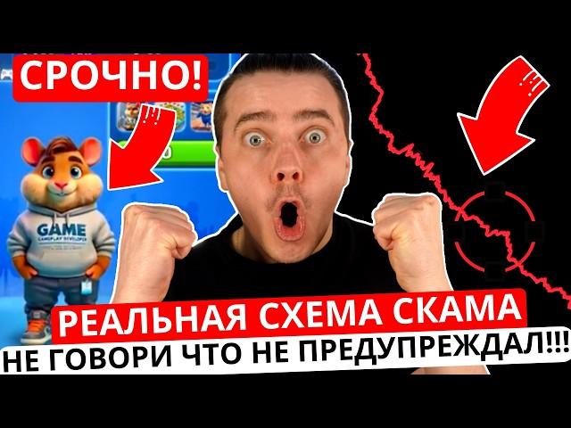 ️ HAMSTER KOMBAT - УЖАС  РЕАЛЬНАЯ СХЕМА СКАМА ХОМЯКА  ПОТОМ НЕ ГОВОРИ ЧТО ТЕБЯ НЕ ПРЕДУПРЕЖДАЛИ!