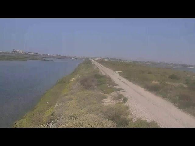 Bolsa Chica Land Trust Live Stream