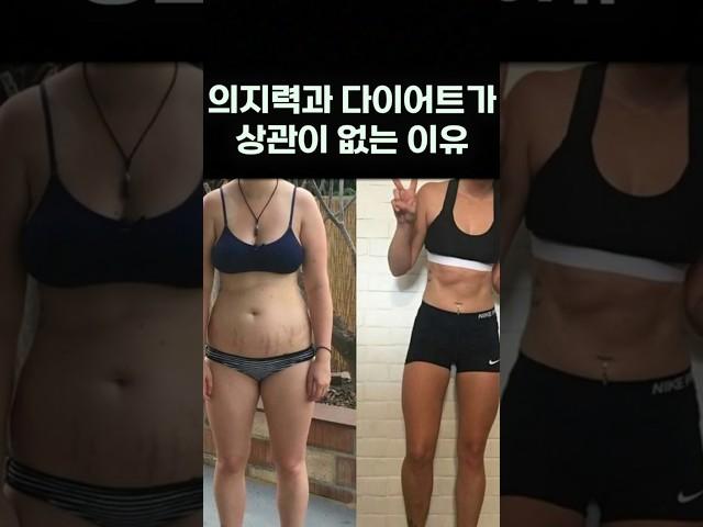 의지력과 다이어트가 상관이 없는 이유