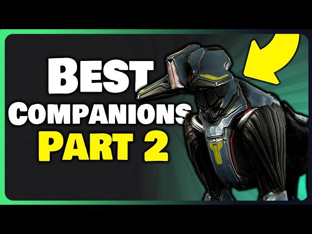 TOP 5 Companions in Warframe [Part 2]