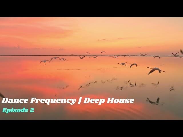 Dance Frequency | Deep House | EP 2