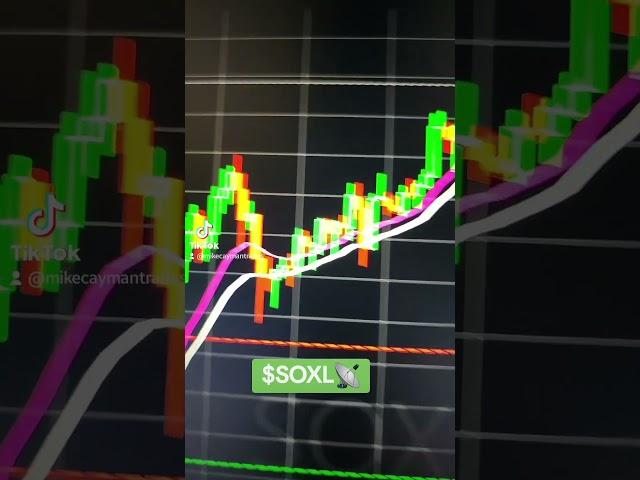 $SOXL 