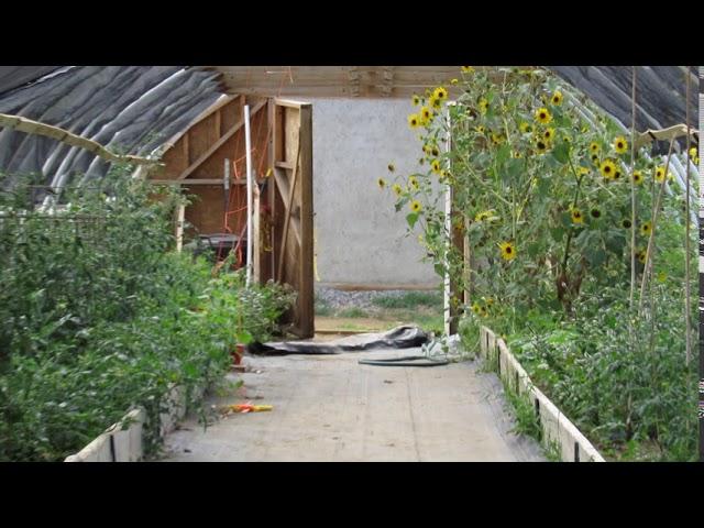 Big Pine Paiute Tribe community garden hoop house #1