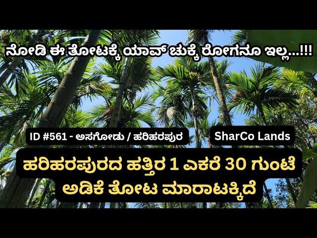 ID #561 - ಎಲೆ ಚುಕ್ಕೆ, ಹಳದಿ ಎಲೆ ರೋಗ? ಇದೆಯಾ ಇಲ್ಲವಾ? ಬಂದು ನೋಡಿ.!!!