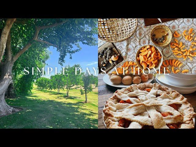 Simple Days at Home | Baking, Harvesting and Enjoying the Day