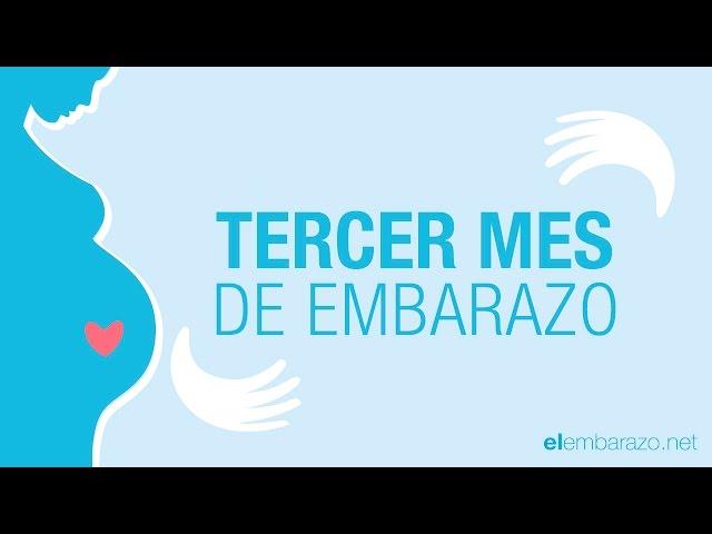 Tercer mes de embarazo | 3 meses de embarazo | El embarazo mes a mes