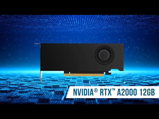 NVIDIA RTX A2000 12GB | Compact Design & Unmatched Performance