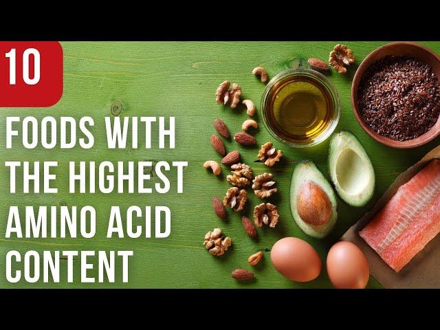 Top 10 Foods With the Highest Amino Acid Content