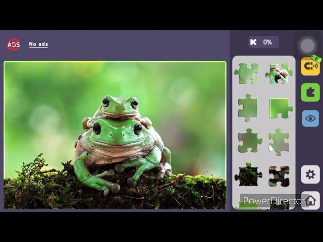 Relax Jigsaw Puzzles ( Frog )