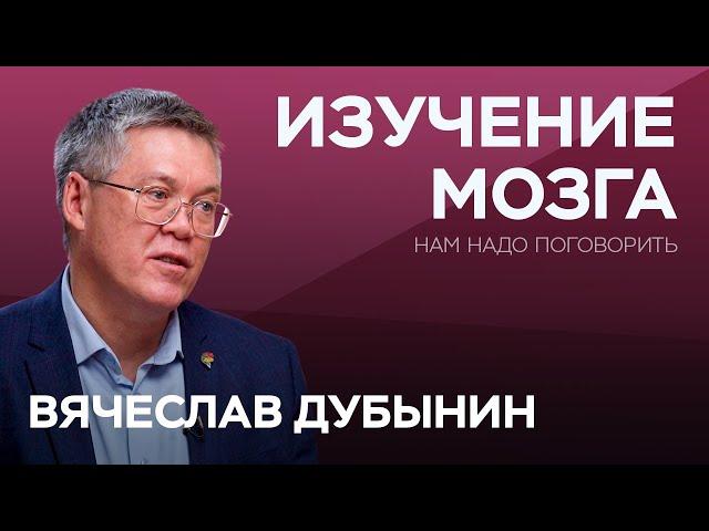 Сладкое, спорт и новая информация: что помогает и разрушает мозг / Вячеслав Дубынин