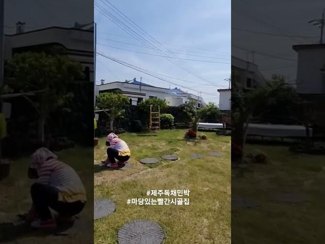 시골집민박 #함덕해수욕장숙소#제주애견동반펜션#제주가족펜션