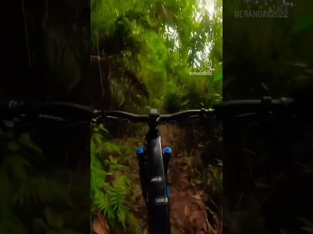 Free from everything  #ridefox #canyonspectral #rideshimano #enduromountainbiking #canyonbikes
