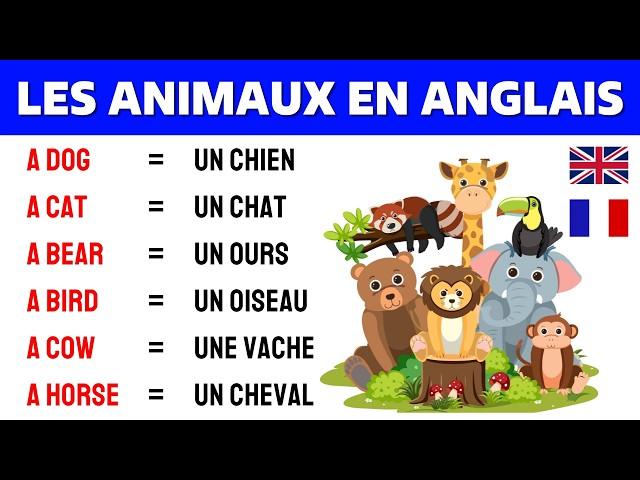 Lesson 1  Les animeaux en Anglais  Animals in English 