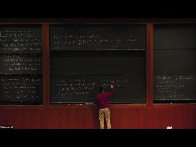 Combinatorics on Words in String Amplitudes - Oliver Schlotterer