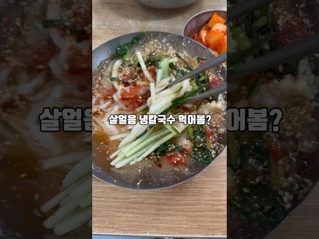 부산 냉칼국수 맛집 #기장손칼국수 #서면맛집 #칼국수맛집 #서면밥집 #부산맛집 #부산데이트 #부산맛집추천 #부산여행 #백종원 #칼국수 #칼국수먹방 #서면시장 #시장맛집