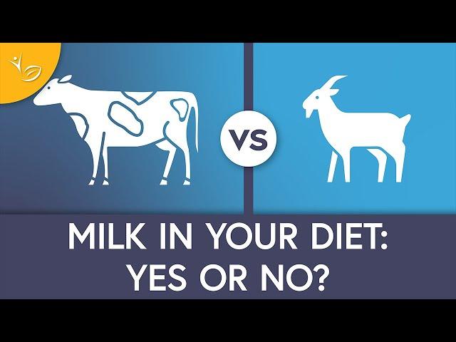 Milk and Weight Loss: The Do's and Don'ts