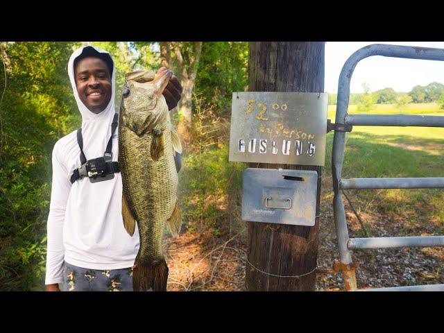 FROG Fishing A 100 YEAR OLD PRIVATE FARM POND For BIG Bass
