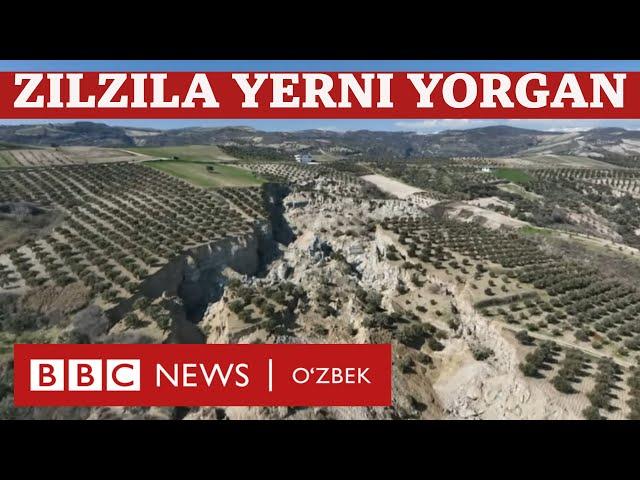 Туркия зилзиласи ерни ёриб, дарахтларни ютиб юборган - янги видео. BBC News O'zbek Dunyo Yangiliklar