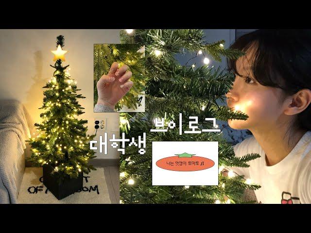 야구 끝나도 잘 먹고 잘 사는 대학생 vlog ʚ  ɞ 자취 일상 무료 공개  • 집순이의 하루 • 크리스마스 준비 시작