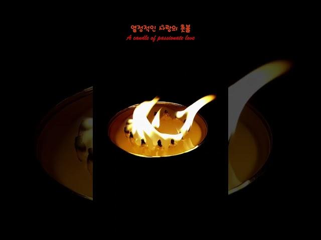 정열적인 사랑의 촛불. A candle of passionate love.