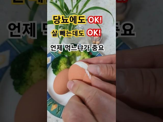 #계란먹는시간#달걀효능#건강한음식#꼬북등산tv