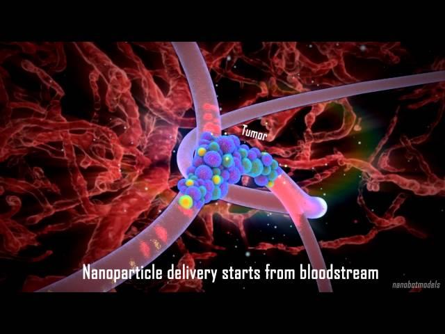 Nanoparticle drug delivery in cancer therapy