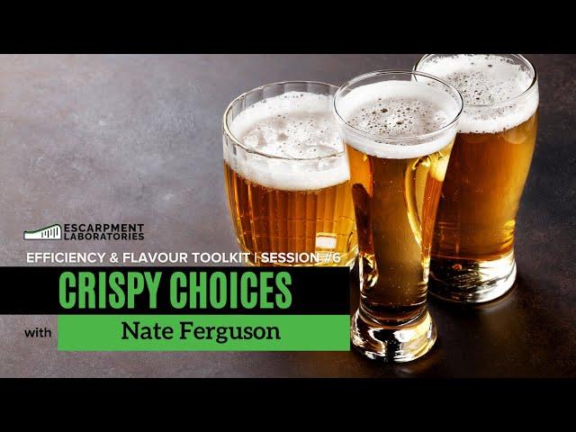 How to Brew Crispy Lagers | Efficiency & Flavour Toolkit Series