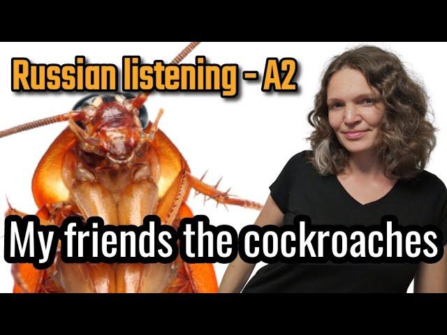 Russian stories - episode 2 - My friends the cockroaches - Russian listening  A2 level - EN/ RU subs