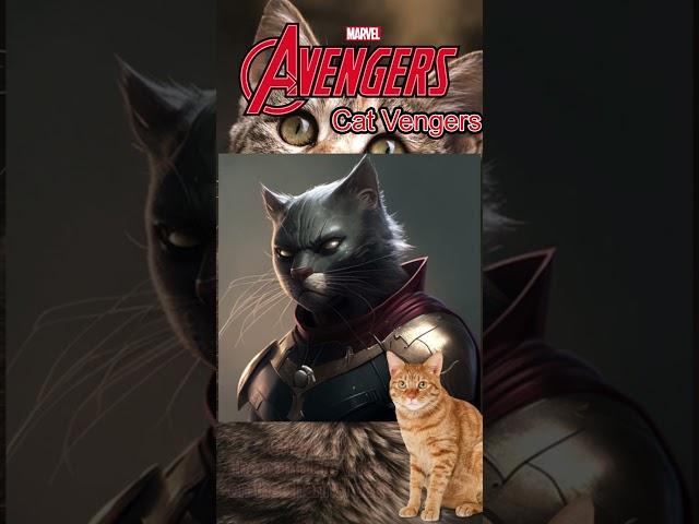 CAPTAIN MARVEL CATVENGERS