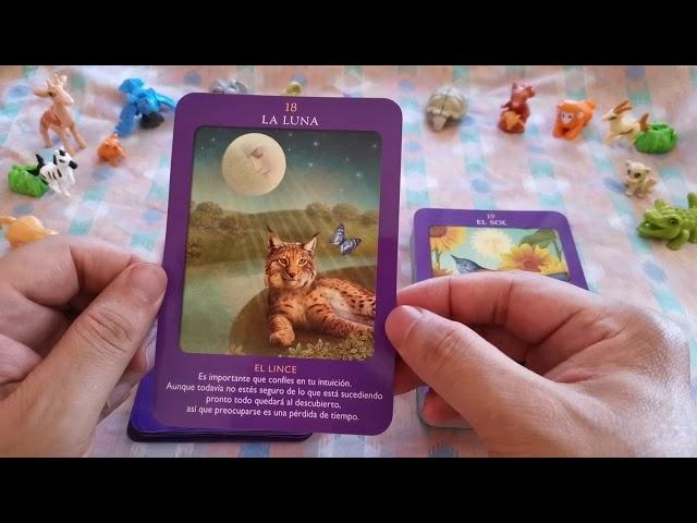 TAROT DE LOS Animales  review