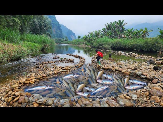 Full video of 90 days of making fish traps in a big stream by boy Lam. Wandering boy