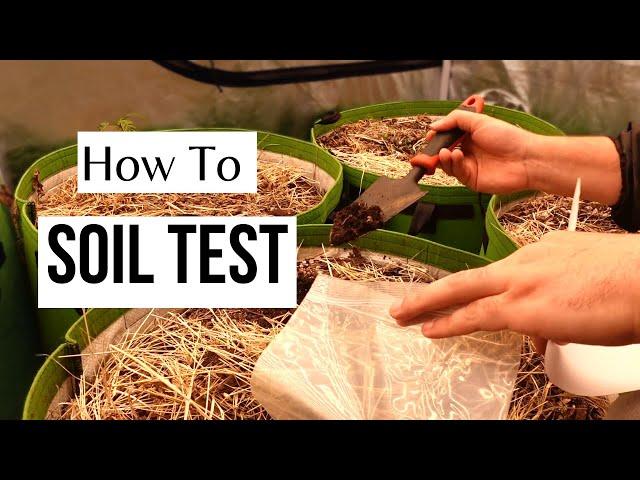 How To Take A SAMPLE For A SOIL TEST