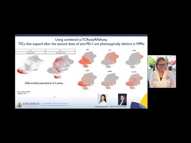 Kellie Smith: Tumour Reactive T cell Functional Programming in Human Cancer