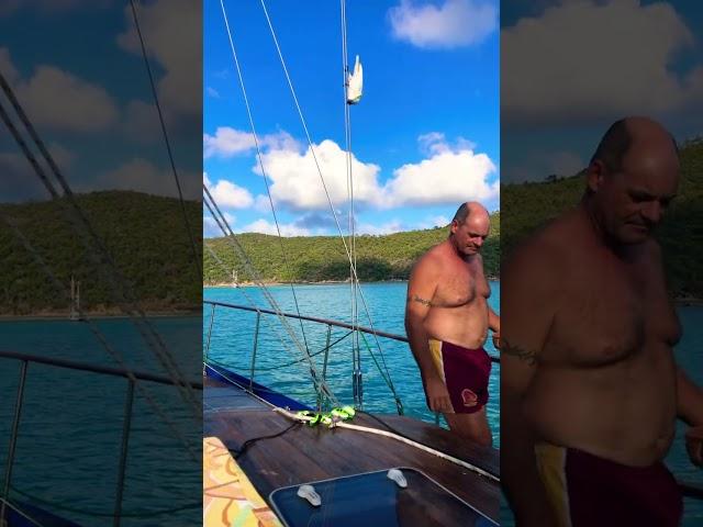 At Nara Inlet with our mate #cockatoo #whitsundays #travelvlog #sailing #shorts #visitqueensland