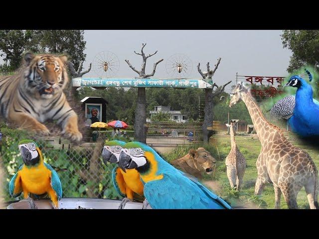 Safari Park Gazipur - Bangabandhu Sheikh Mujib Safari Park, Gazipur in Bangladesh