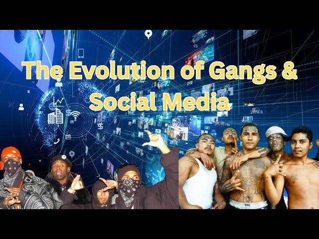 The Evolution of Gangs and Social Media