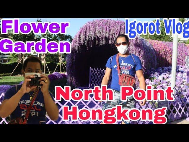 Flower Garden//North Point Hongkong Adventure//Igorot Gardener Adventure