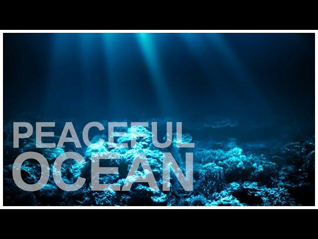 PEACEFUL OCEAN Ambience w/ the voice of whale, helps insomnia, concentrates, works and studies
