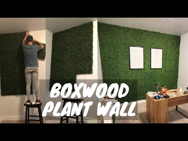 Faux Boxwood Plant Wall [EASY DIY]