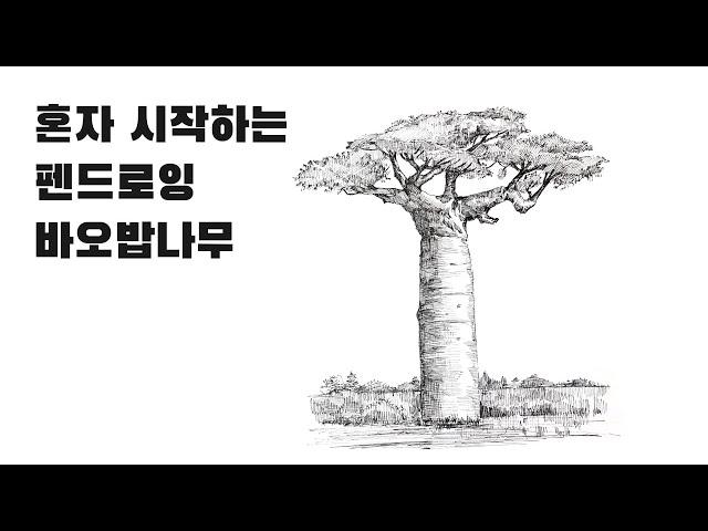 펜으로 나무 스케치 잘 하는 방법, 펜화스케치 방법 / pen sketch