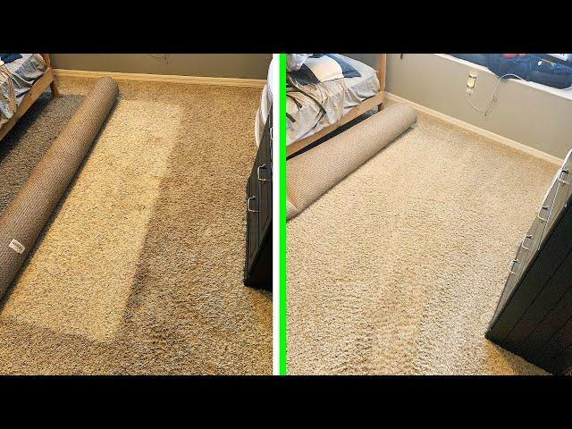 Satisfying carpet cleaning and Bona floor finish/ wax removal! full process Tampa Fl.