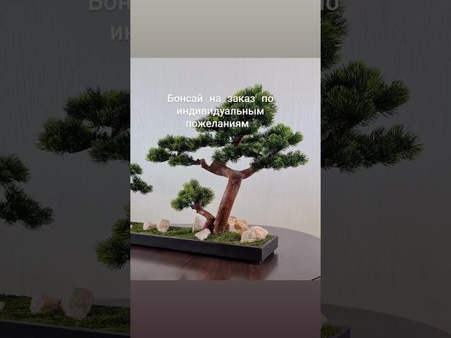 #озеленение #видео #декоринтерьера #тренд #стиль #bonsai #flowers #home #настроение #любовь #цветы