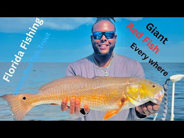 Simple and Easy Way TO Catching  SLOT RED FISH in Charlotte Harbor