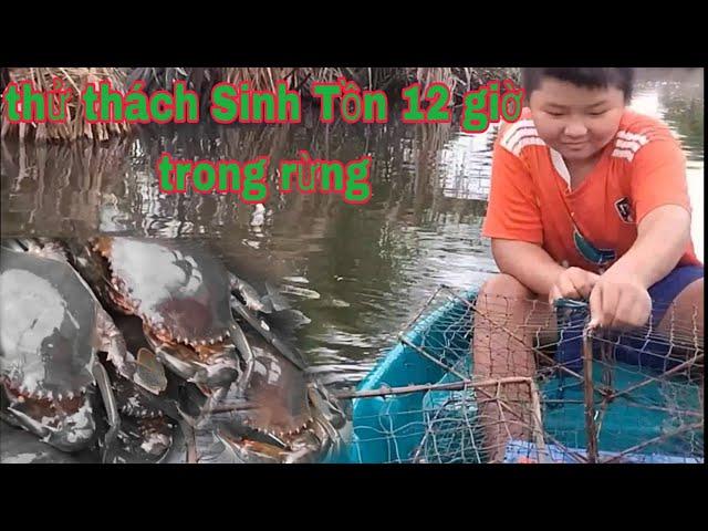 Tony |Thử thách con cua biển Mèo Team TV sinh tồn 12 giờ trong rừng ZR7