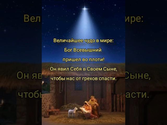 Величайшее чудо в мире. Рождественское стихотворение.