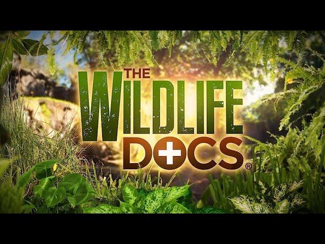 The Wildlife Docs. | Season 1, Episode 6