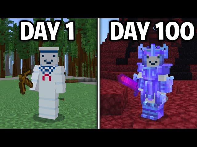 I Survived 100 Days In Minecraft China Edition