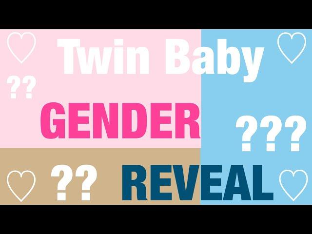 TWIN BABY GENDER REVEAL *Quarantine Edition* 