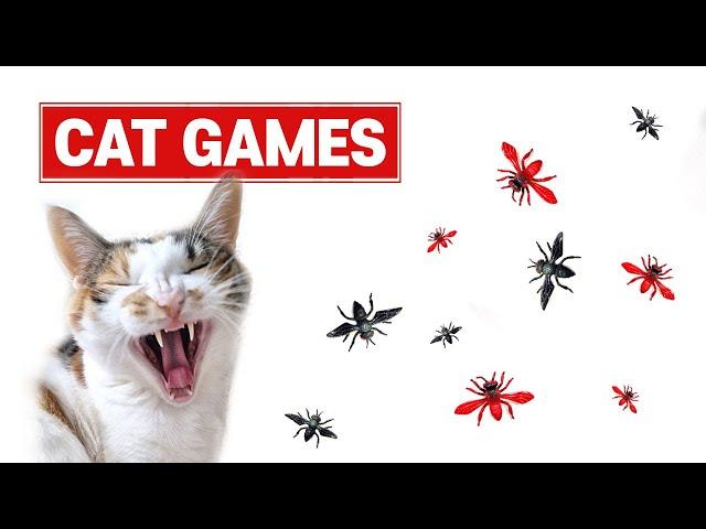 [Cat Games]고양이가 좋아하는 벌레 영상 4시간 Video for cats 4Hours 猫用動画고양이예능