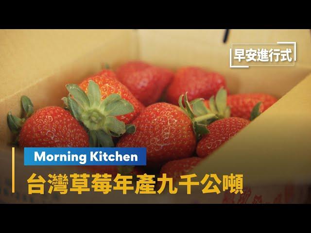 【Morning Kitchen早安廚房】大人小孩都愛它！　台灣草莓年產九千公噸 The Story of Strawberry - From Farm to Table｜早安進行式 #鏡新聞